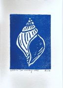 Blue linocut of a sea shell. The sea shell is white and around it is blue like the ocean.