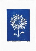 A blue linocut of a sunflower. The sunflower is white and all around it is blue.