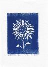 A blue linocut of a sunflower. The sunflower is white and all around it is blue.